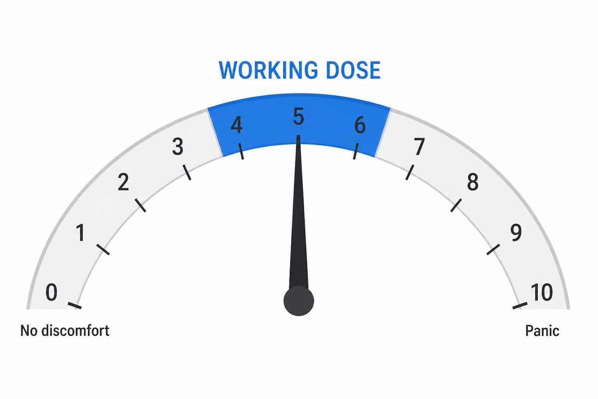 simple editorial infographic of a 0-to-10 intensity dial with the 4-to-6 zone highlighted