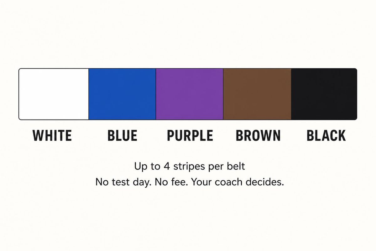 adult belt inline 1 progression bar