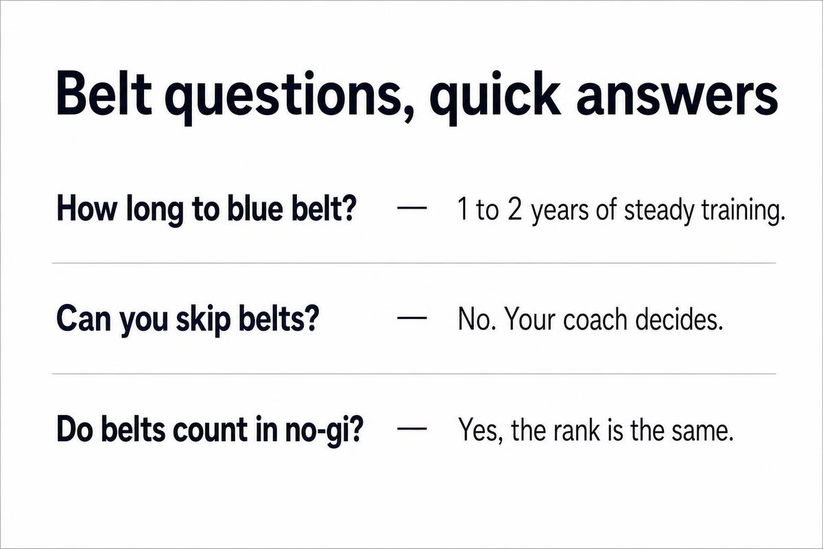 adult belt inline 9 faq card