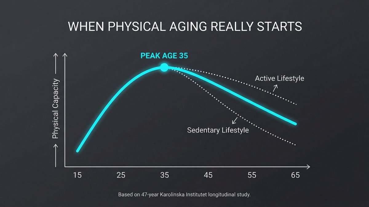 Infographic showing physical ability peaks at age 35