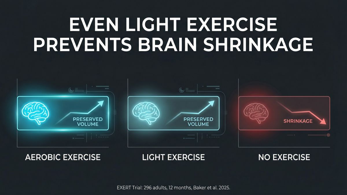 Infographic summarizing the EXERT clinical trial results on exercise and cognitive decline