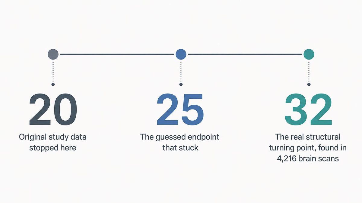A simple horizontal timeline infographic with three marked points: age 20 where the original study data stopped, age 25 labeled as the guessed endpoint that stuck, and age 32 labeled as the structural turning point found in 4,216 brain scans