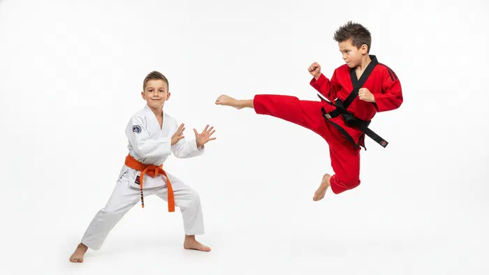 The Complete Guide to Kids' Martial Arts in Madison, WI (2026)
