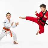 The Complete Guide to Kids' Martial Arts in Madison, WI (2026)