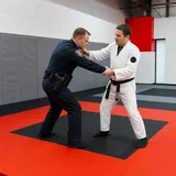 What Happened When Police Departments Started Training Jiu-Jitsu