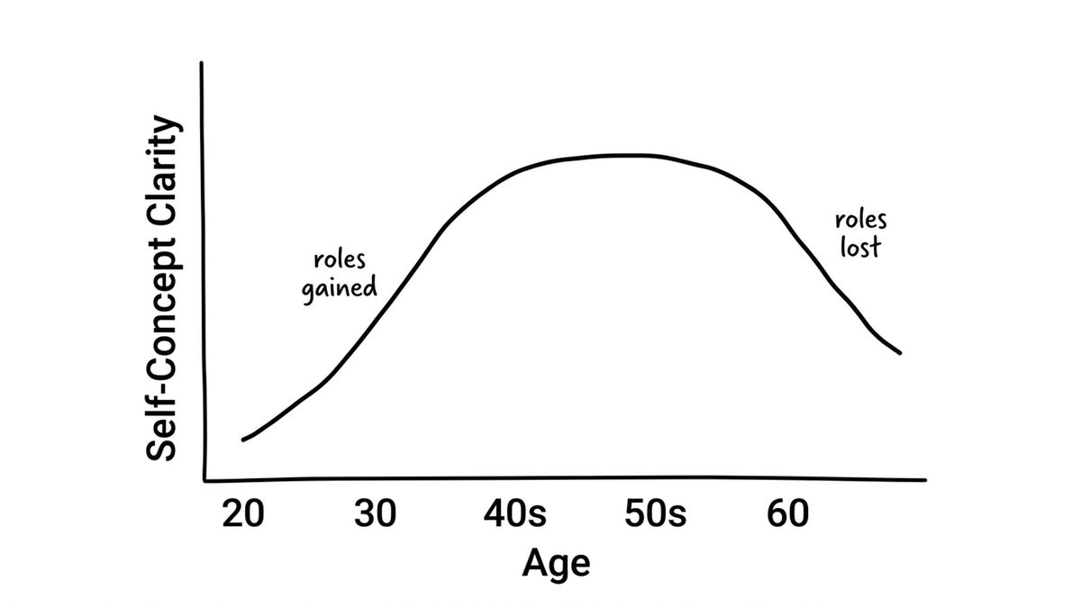 A simple line chart, hand-drawn style, showing self-concept clarity rising from age 20 to a peak in the 40s and 50s then falling after 60, with two small labels reading roles gained on the rise and roles lost on the fall
