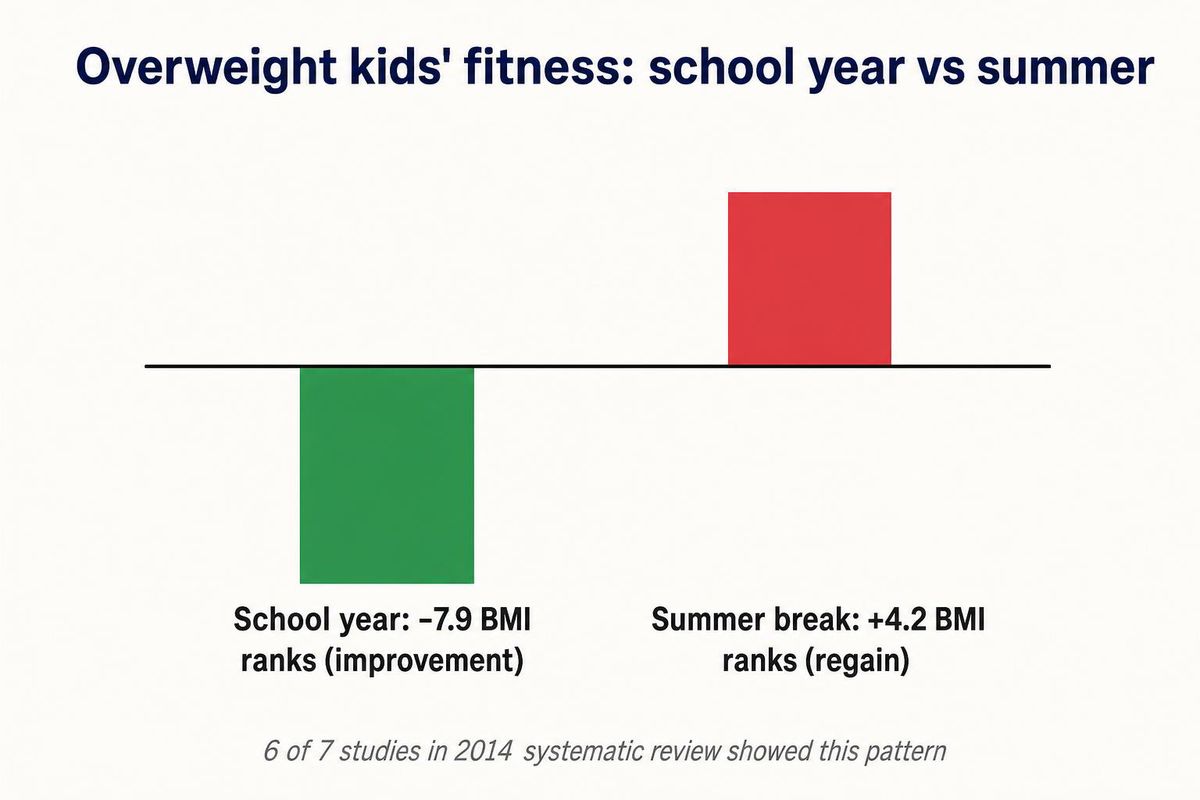 body 02 summer schoolyear bars 2026 06 01
