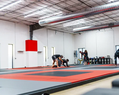 wide shot people training bjj no gi