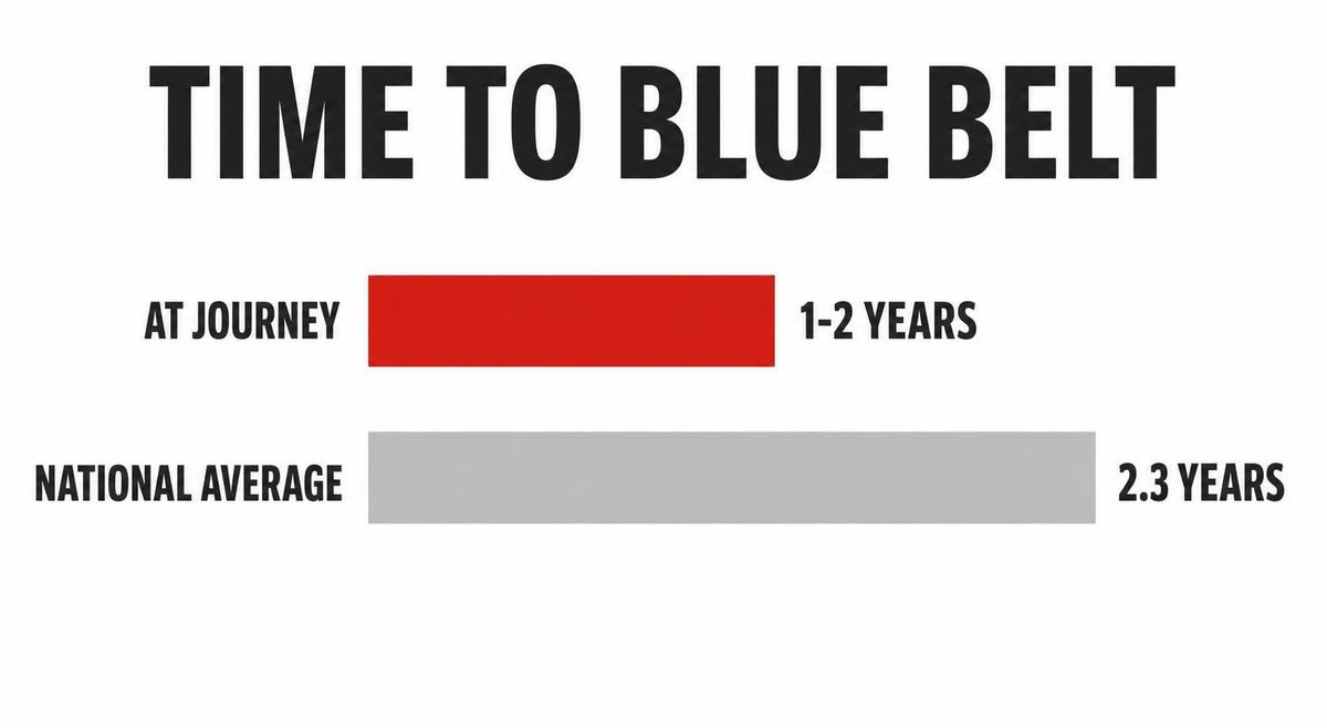Infographic-style timeline showing white to blue belt progression as a row of calendar months filling with check marks, clean flat design