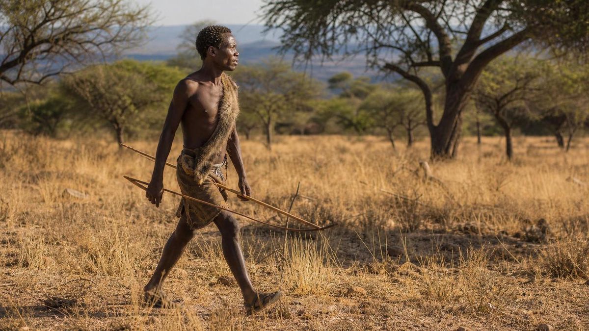 outrun body1 hadza
