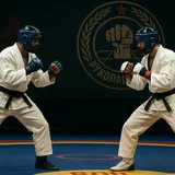 Armenian Athlete Wins Only Non-Russian Gold at Moscow's Military Combat Tournament